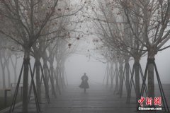 上海大霧彌漫 部分地區出現能見度小于200米的強濃霧